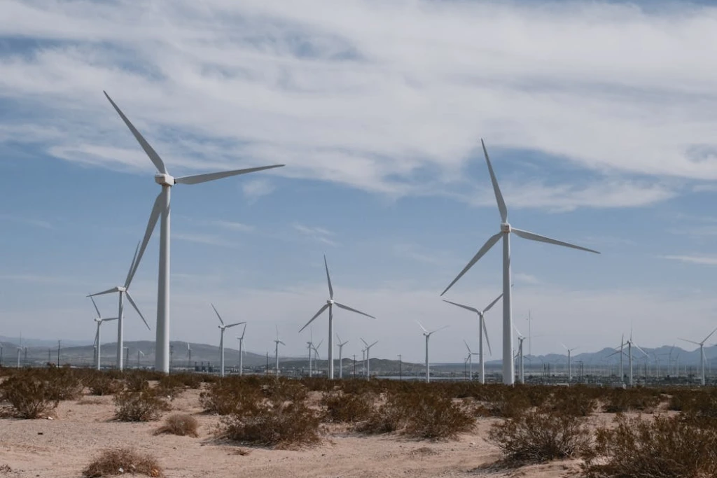 What Future Generations Will Say About Our Climate Response