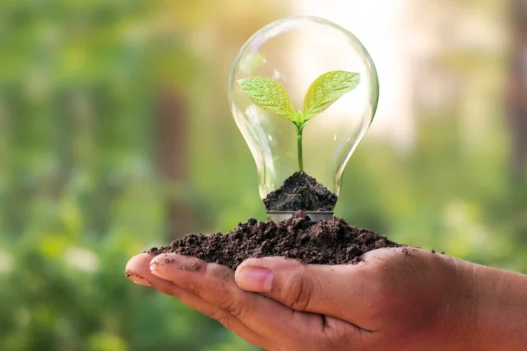 Eco Solutions: Fighting Climate Change Together