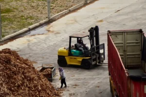 Beyond Recycling: Bold Moves For The Climate